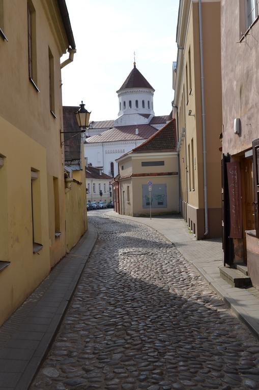 Sofijos Studio Old Town Apartment Vilnius Bagian luar foto