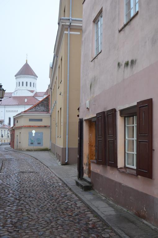 Sofijos Studio Old Town Apartment Vilnius Bagian luar foto