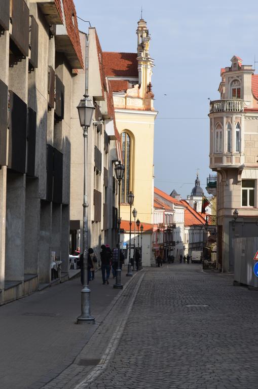 Sofijos Studio Old Town Apartment Vilnius Ruang foto